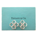 Earring Tiffany&Co 925 Used