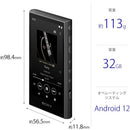 Sony Digital Audio Player Nw-A306 B A 32Gb