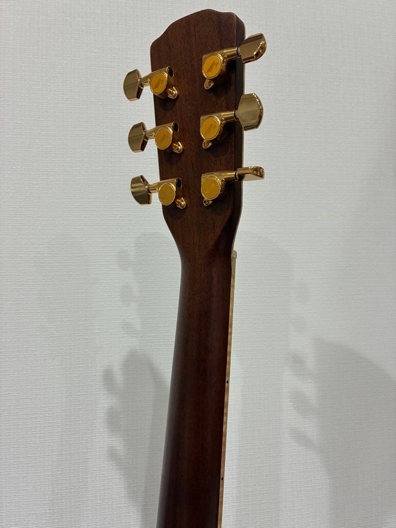 Acoustic Guitars W-Ltd Vyl
