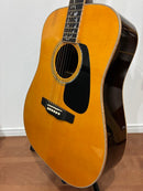 Acoustic Guitars W-Ltd Vyl