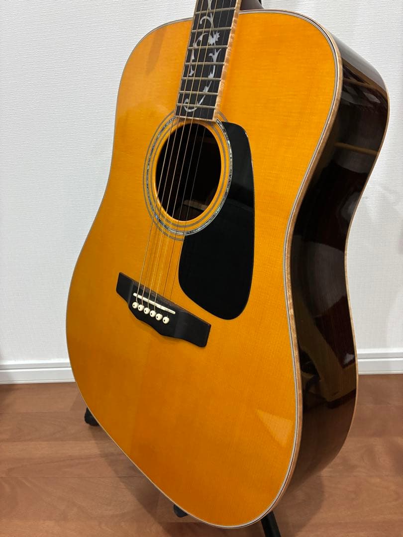 Acoustic Guitars W-Ltd Vyl