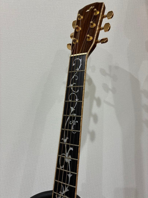 Acoustic Guitars W-Ltd Vyl