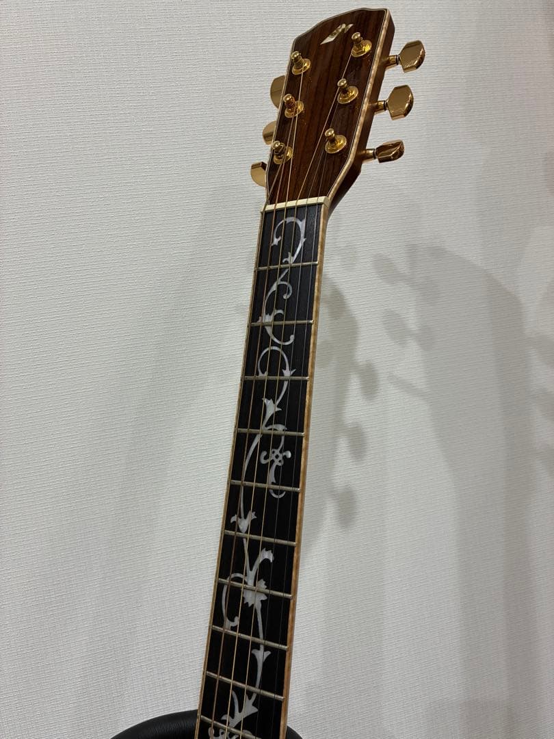 Acoustic Guitars W-Ltd Vyl