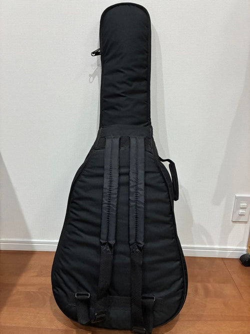 Acoustic Guitars W-Ltd Vyl