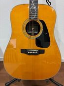 Acoustic Guitars W-Ltd Vyl