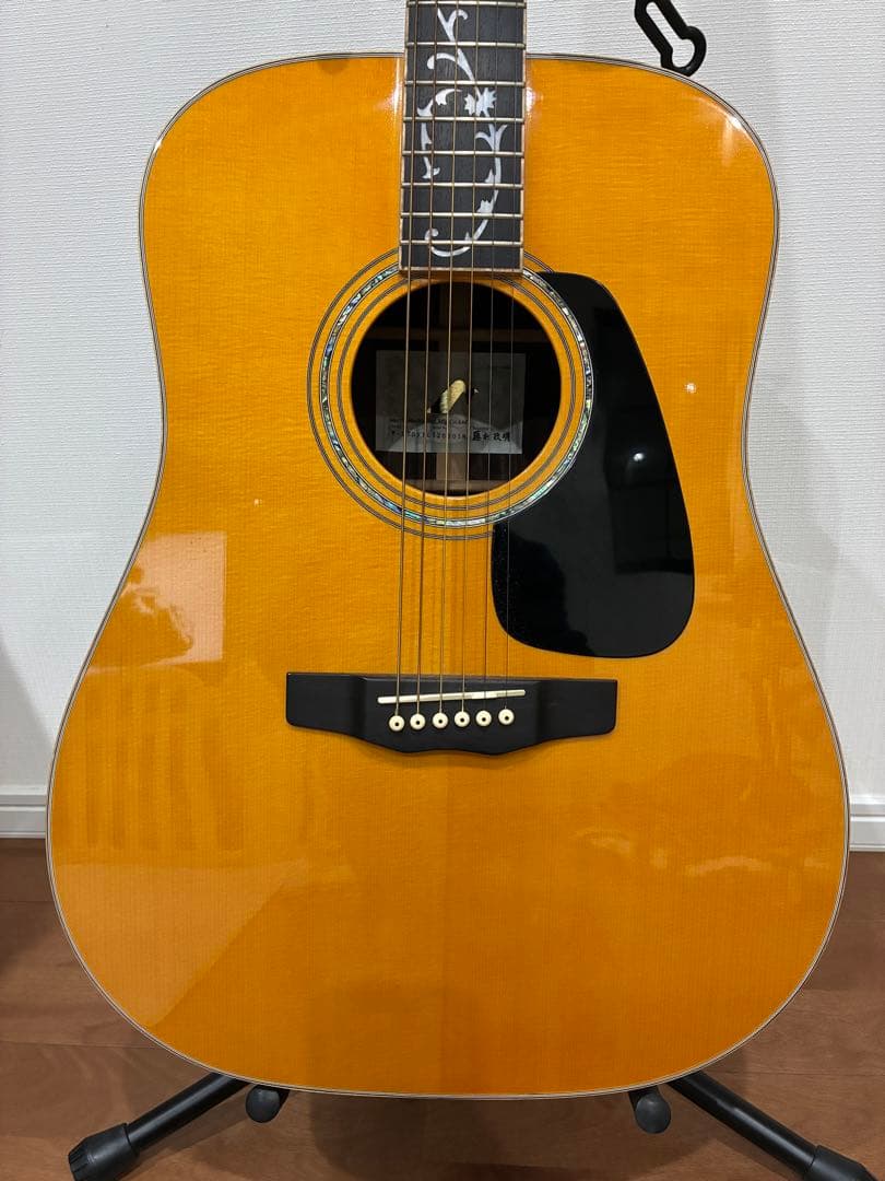 Acoustic Guitars W-Ltd Vyl