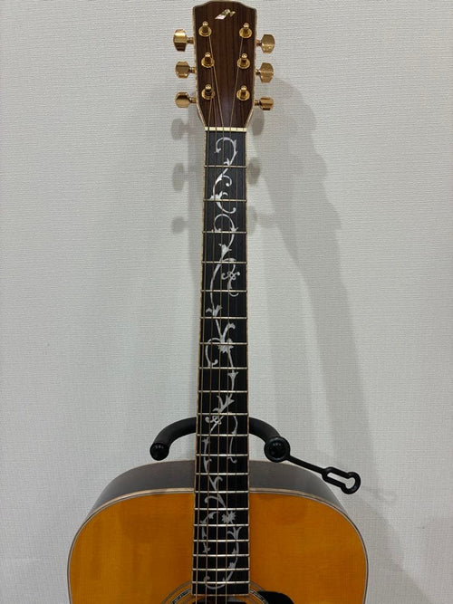 Acoustic Guitars W-Ltd Vyl
