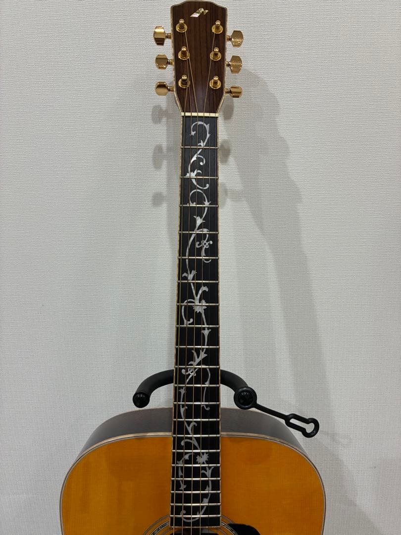 Acoustic Guitars W-Ltd Vyl