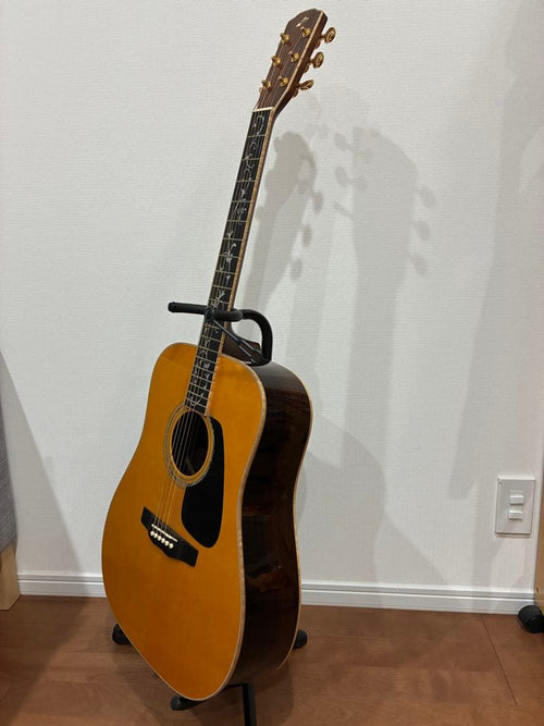 Acoustic Guitars W-Ltd Vyl