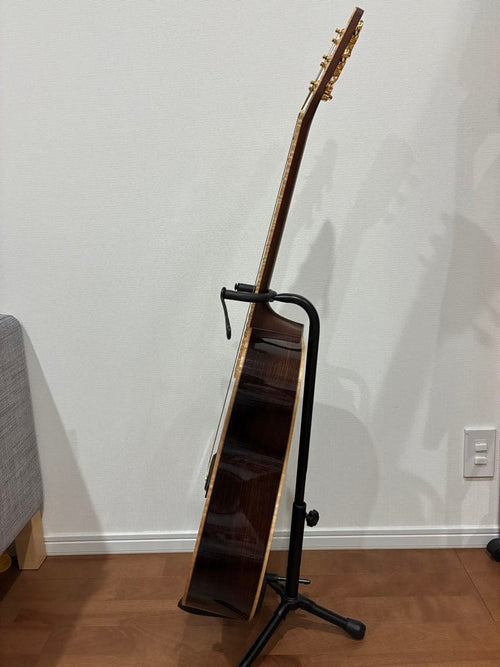 Acoustic Guitars W-Ltd Vyl