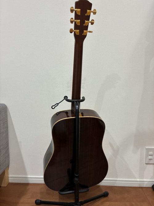 Acoustic Guitars W-Ltd Vyl