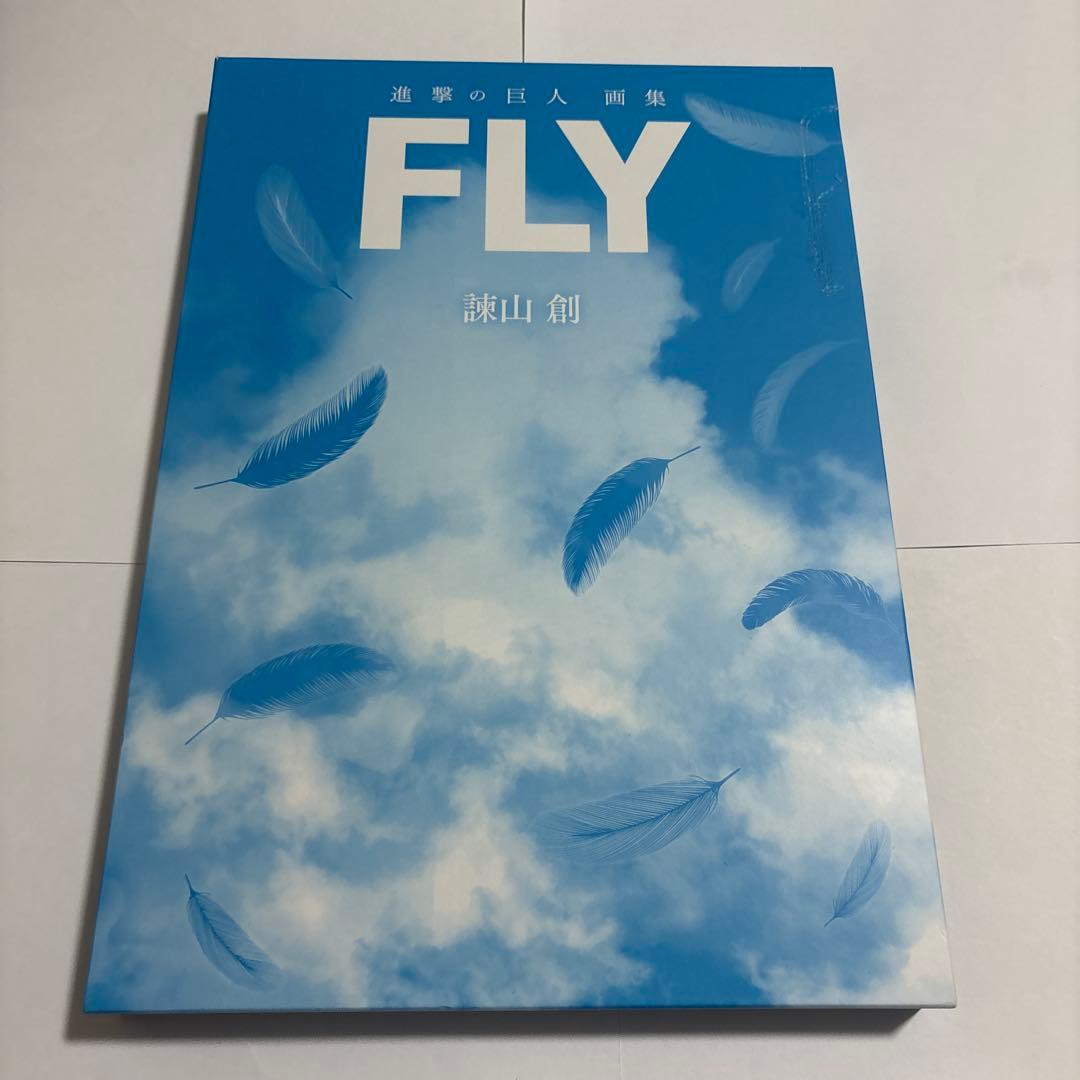 Boy'S Manga Fly
