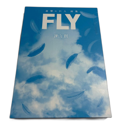 Boy'S Manga Fly