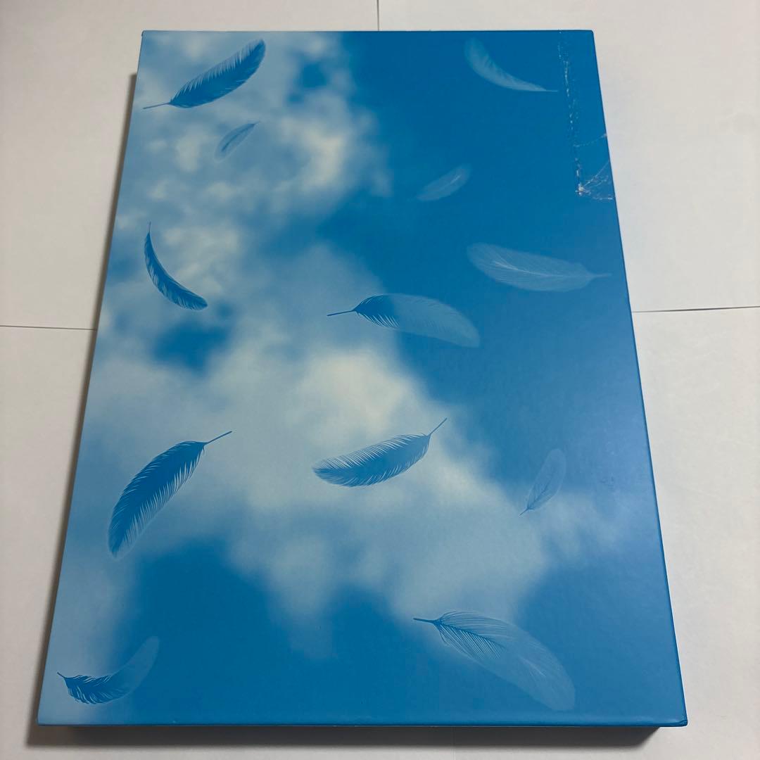 Boy'S Manga Fly