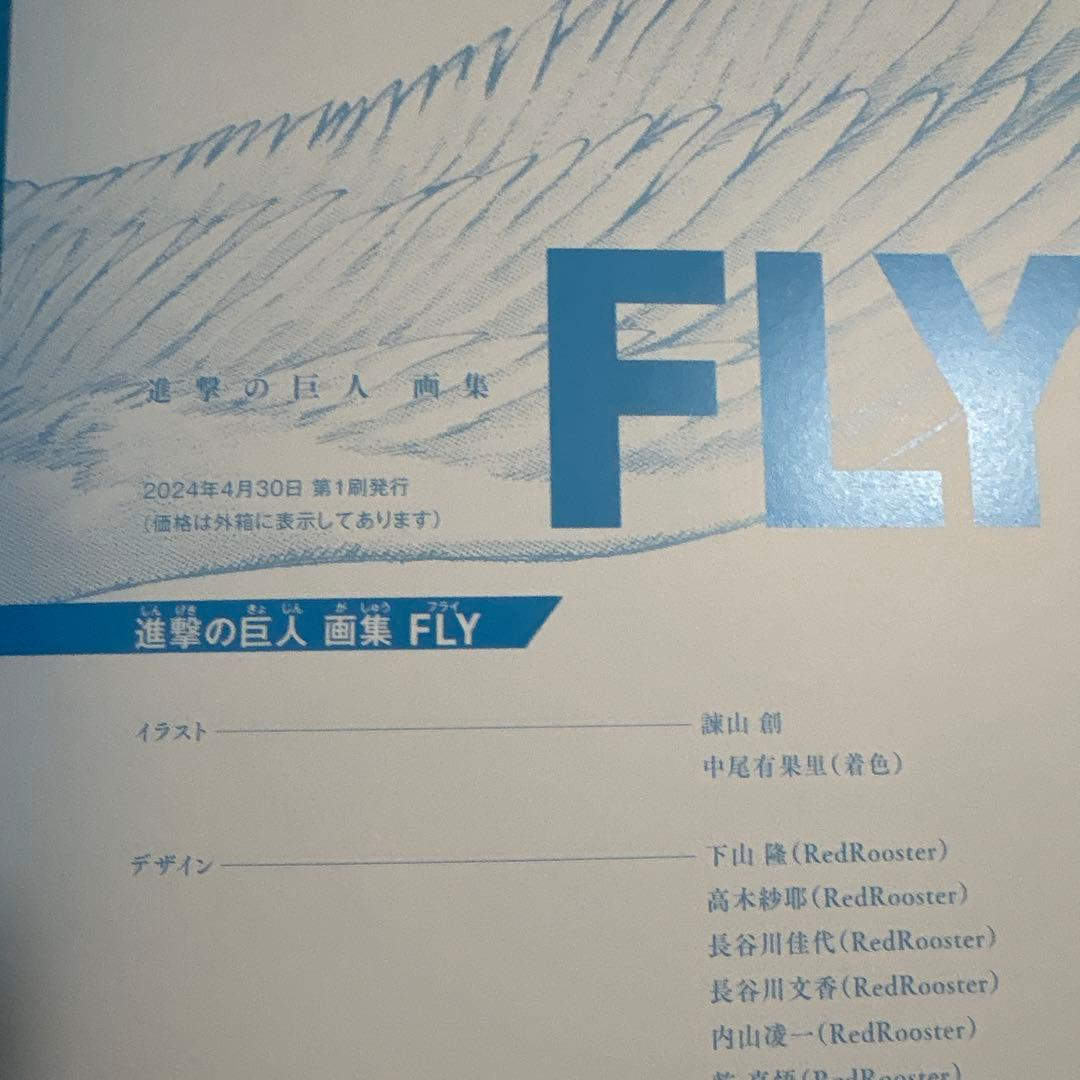 Boy'S Manga Fly