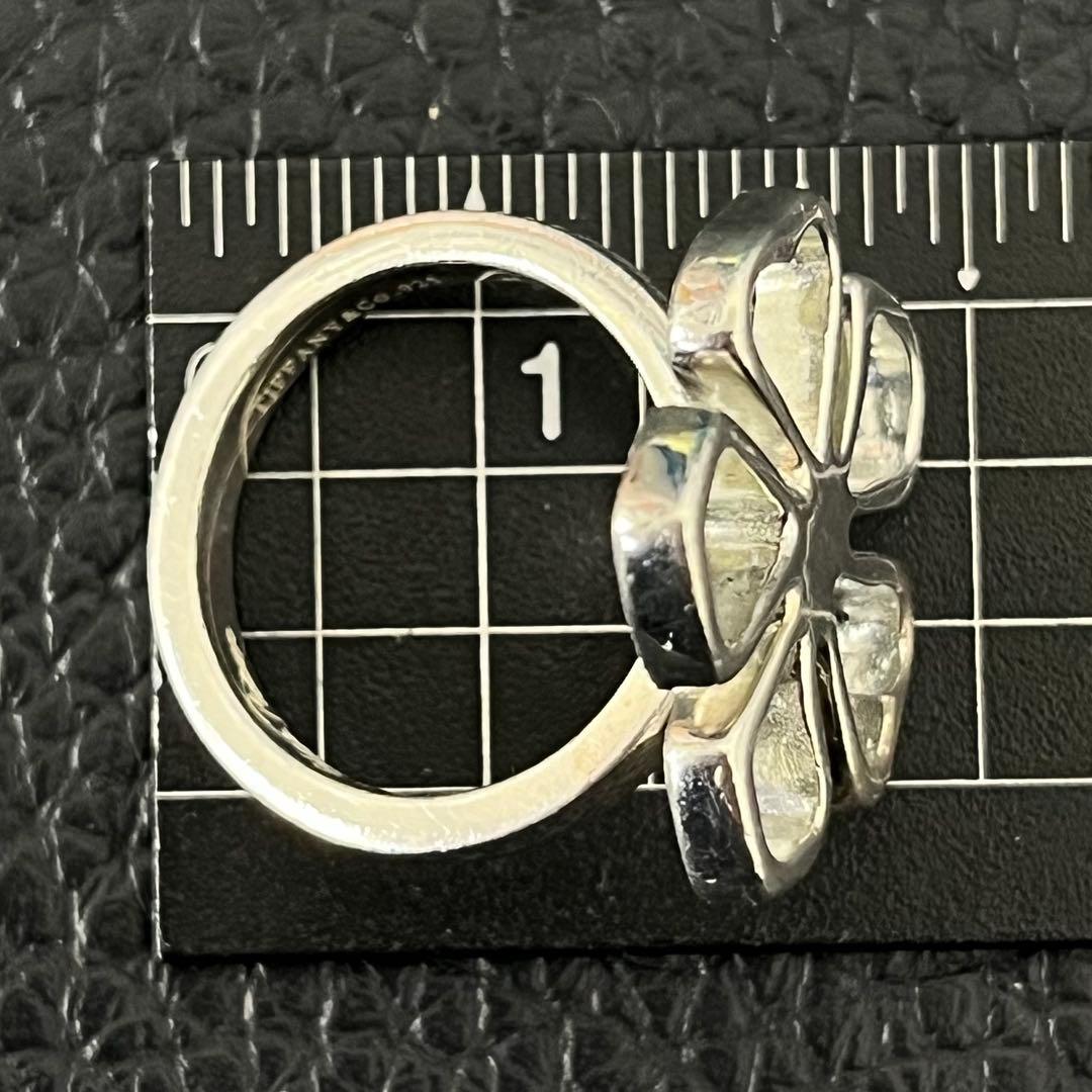 Tiffany Rings (C)Tiffany&Co. Silver925 9