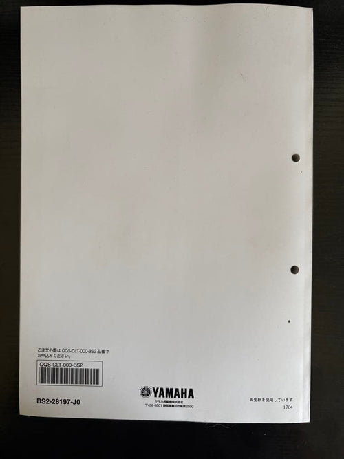 Catalogs Manuals Yamaha Mt-09A 2017