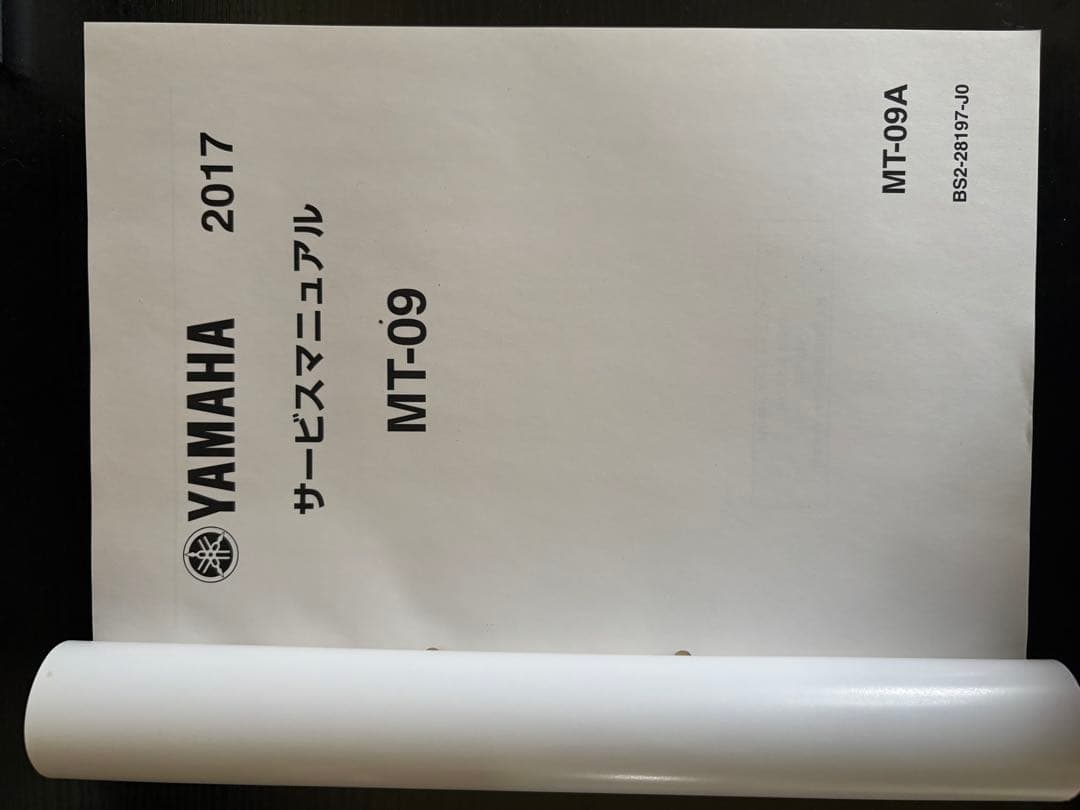 Catalogs Manuals Yamaha Mt-09A 2017