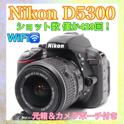 Nikon Digital Slrs D5300 Wifi