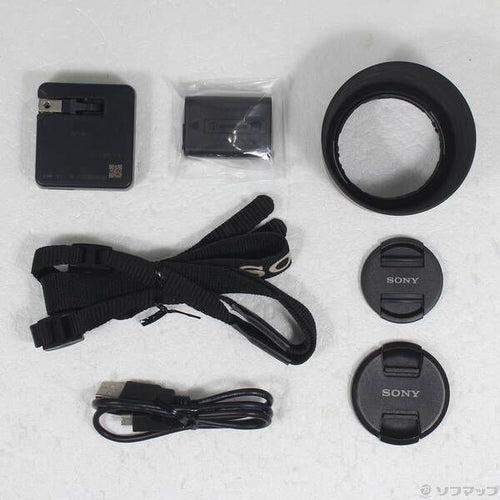 Sony Mirrorless Interchangeable Lips 5100 198