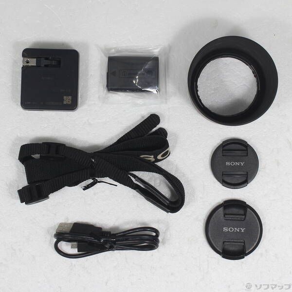 Sony Mirrorless Interchangeable Lips 5100 198