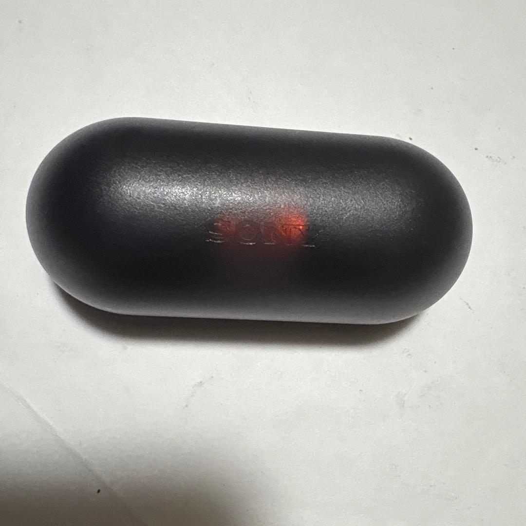 Sony Wireless Earphones