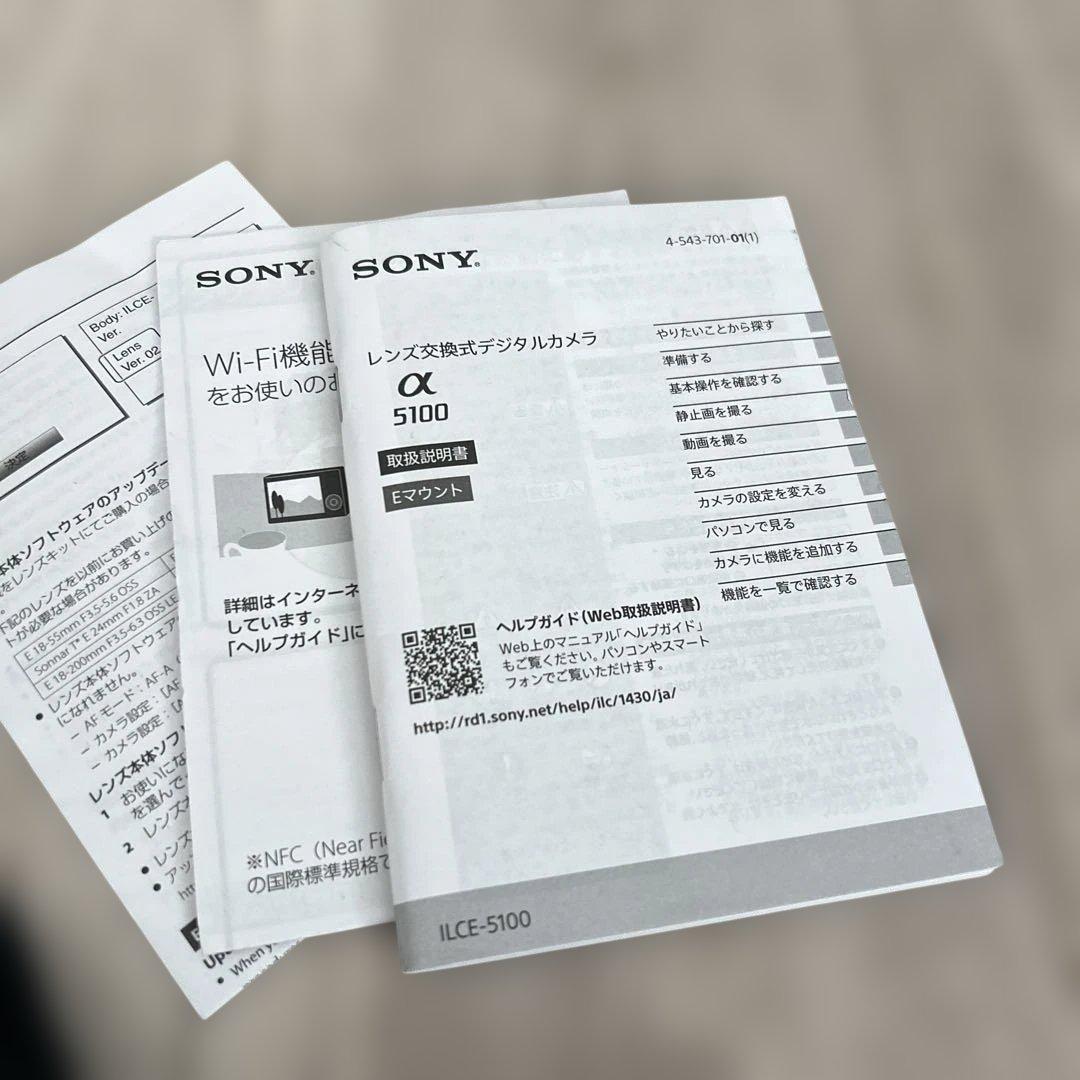Sony Mirrorless Interchangeable Lips 5100