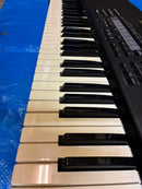 Roland Others Xp-50