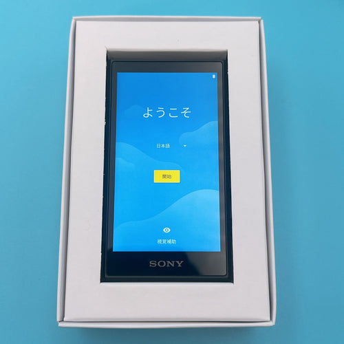 Sony Digital Audio Player Nw-A105 Walkman