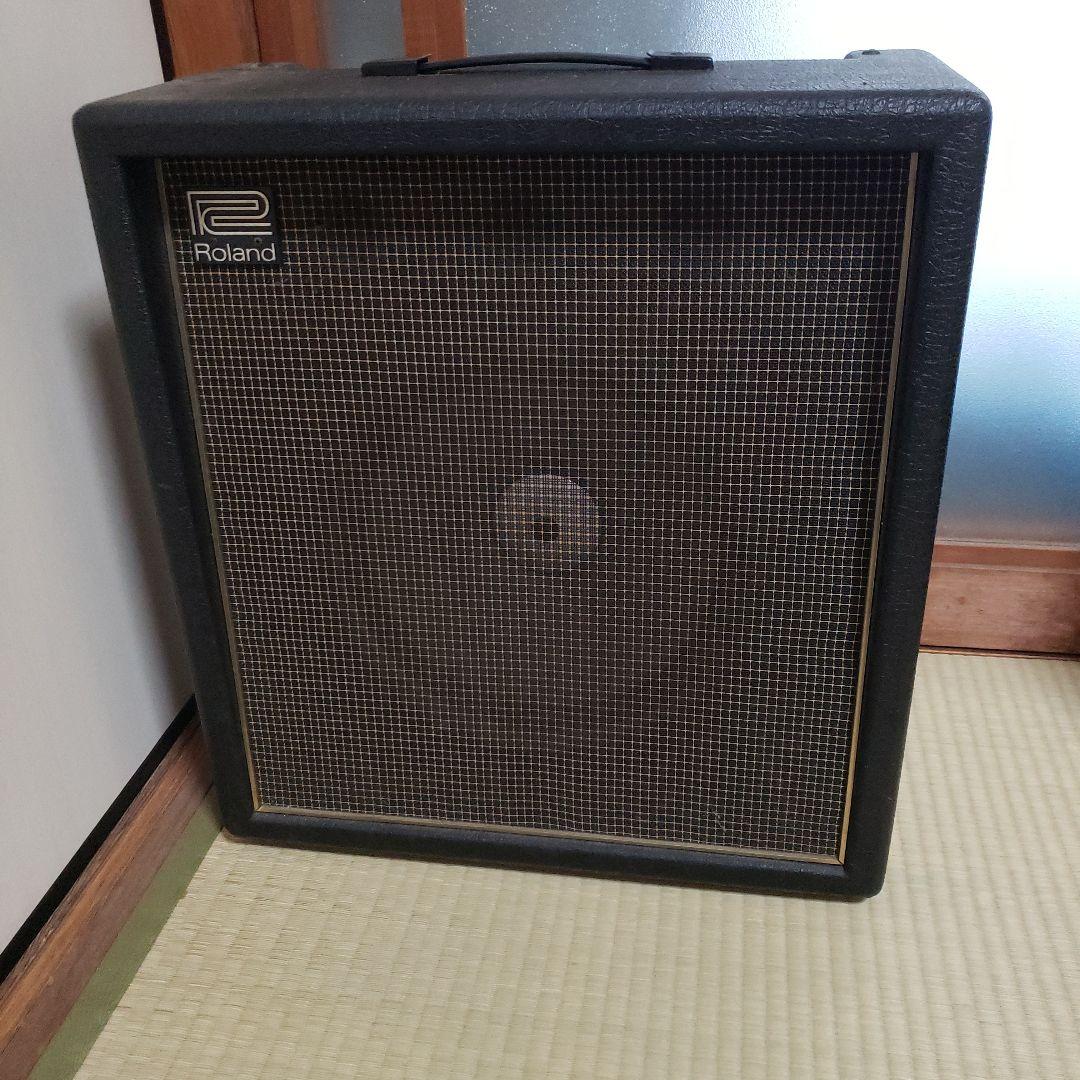 Guitar Amplifiers Roland Ca-40