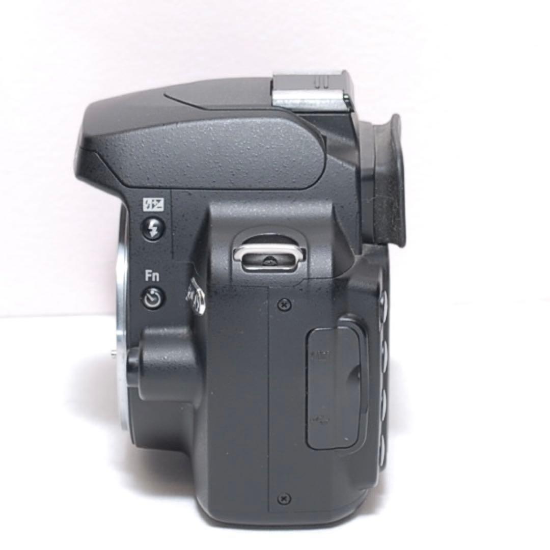 Nikon Digital Slr D60