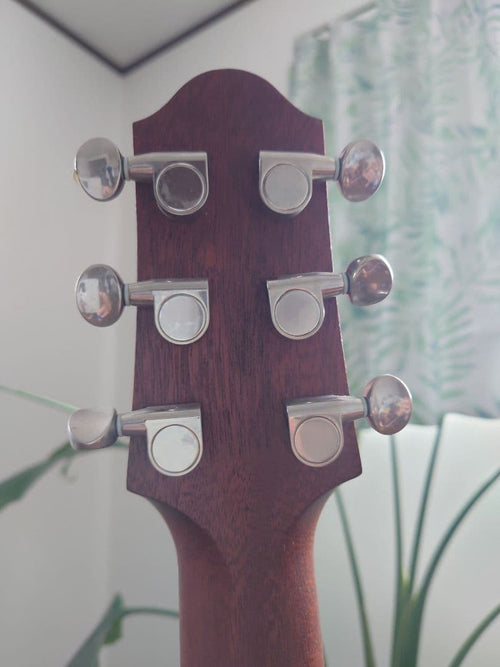 Yamaha Acoustic Guitars Slg200S Tbs (Tobacco Brown Sunburst)