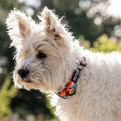 Collar Wolfgang/ Mountainvibes M X 30-45Cm 0