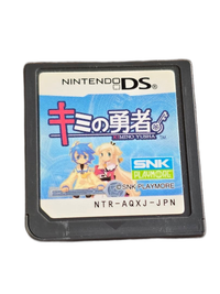 Nintendo Ds Software (Package Version)