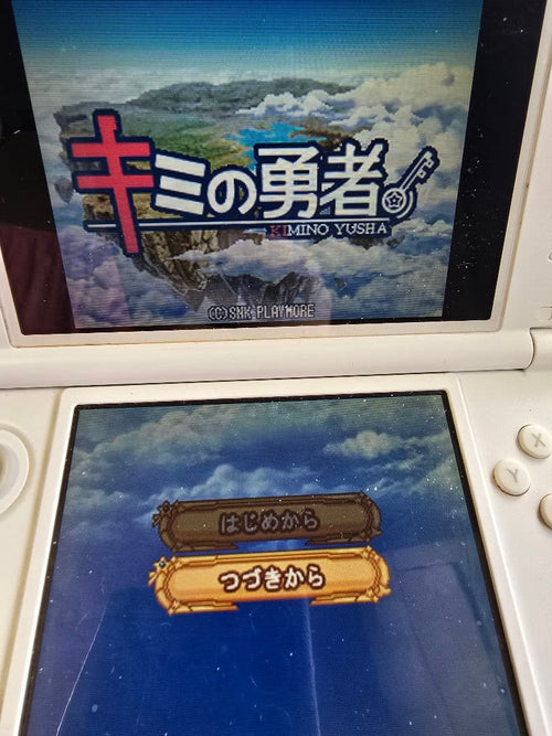 Nintendo Ds Software (Package Version)
