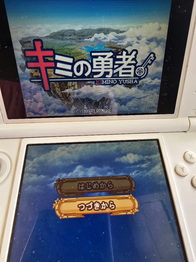 Nintendo Ds Software (Package Version)