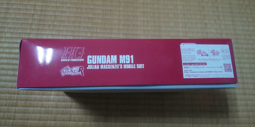 Hg (High -Grade) 1/144 M91