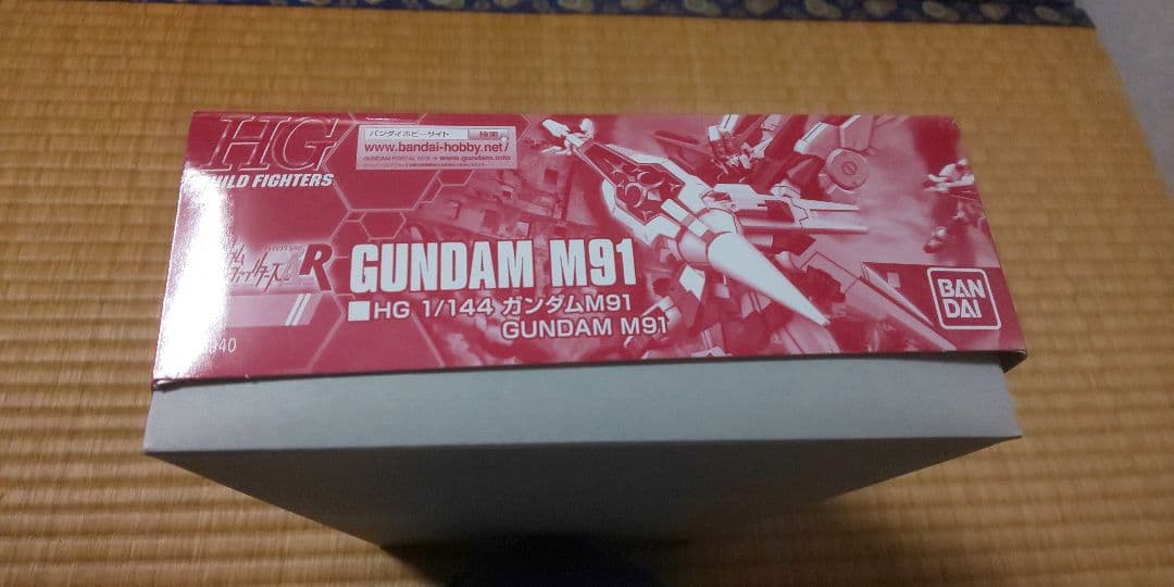 Hg (High -Grade) 1/144 M91