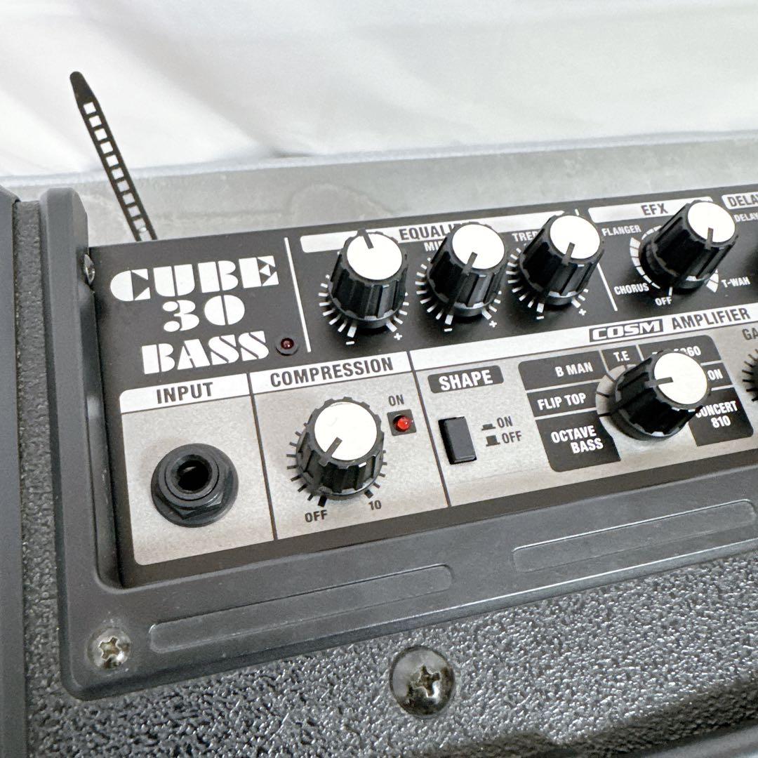 Roland Bass Amps D34 Cb-30 Cube 30