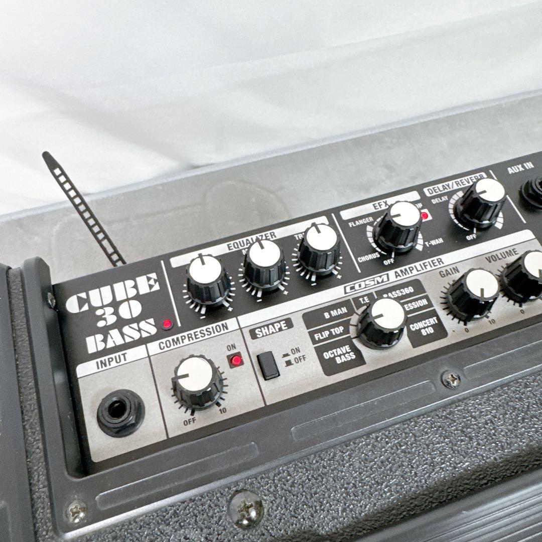 Roland Bass Amps D34 Cb-30 Cube 30