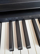 Roland Keyboards Digital Pianos Fp-10