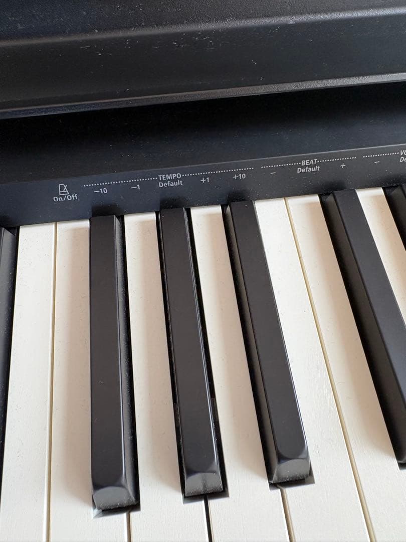 Roland Keyboards Digital Pianos Fp-10