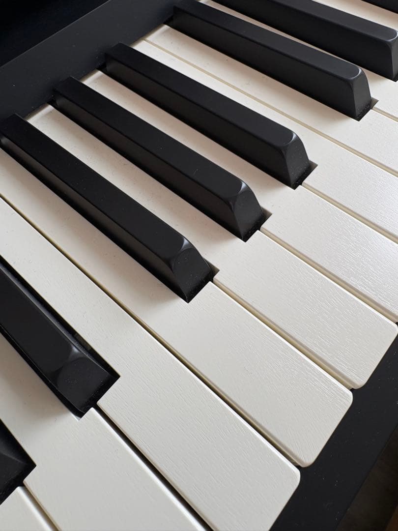 Roland Keyboards Digital Pianos Fp-10