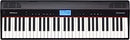 Others Roland /Go-61P Go:Piano