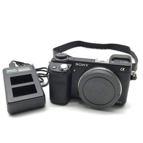 Sony Others Nex-6 Aps-C C290