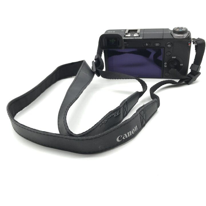 Sony Others Nex-6 Aps-C C290