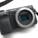 Sony Others Nex-6 Aps-C C290