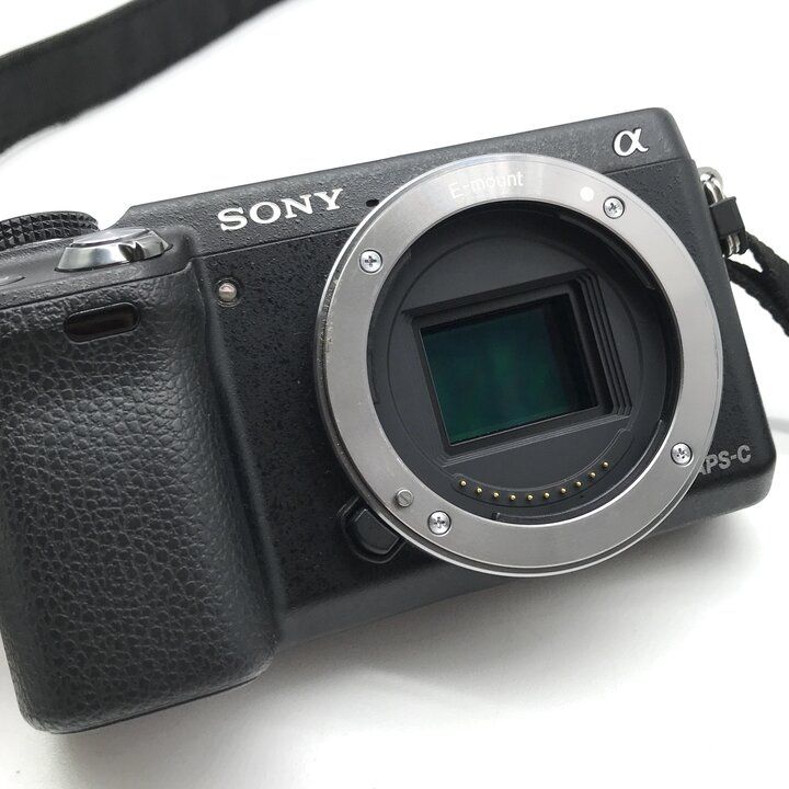 Sony Others Nex-6 Aps-C C290