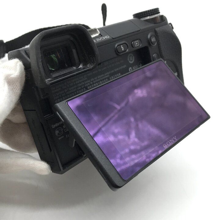 Sony Others Nex-6 Aps-C C290