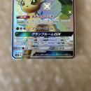Pokemon Card Game Gx 206/150 Ssr